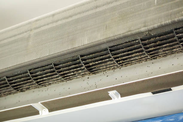 Best HVAC Duct Inspection Services  in Lisbon, ND